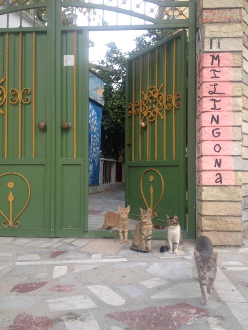 Milingona City Center Hostel Tirana Kültér fotó